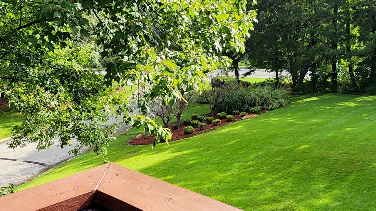 Photo of Outdoor in Decatur