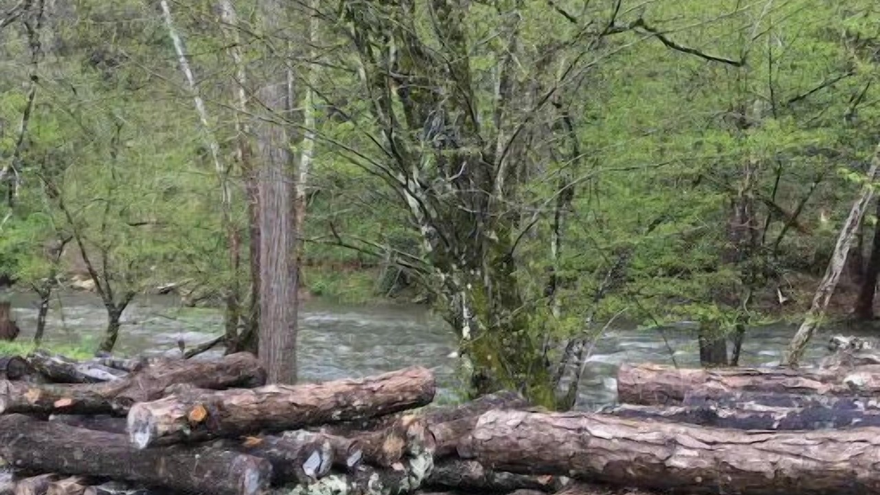 Photo of Outdoor in Mars Hill