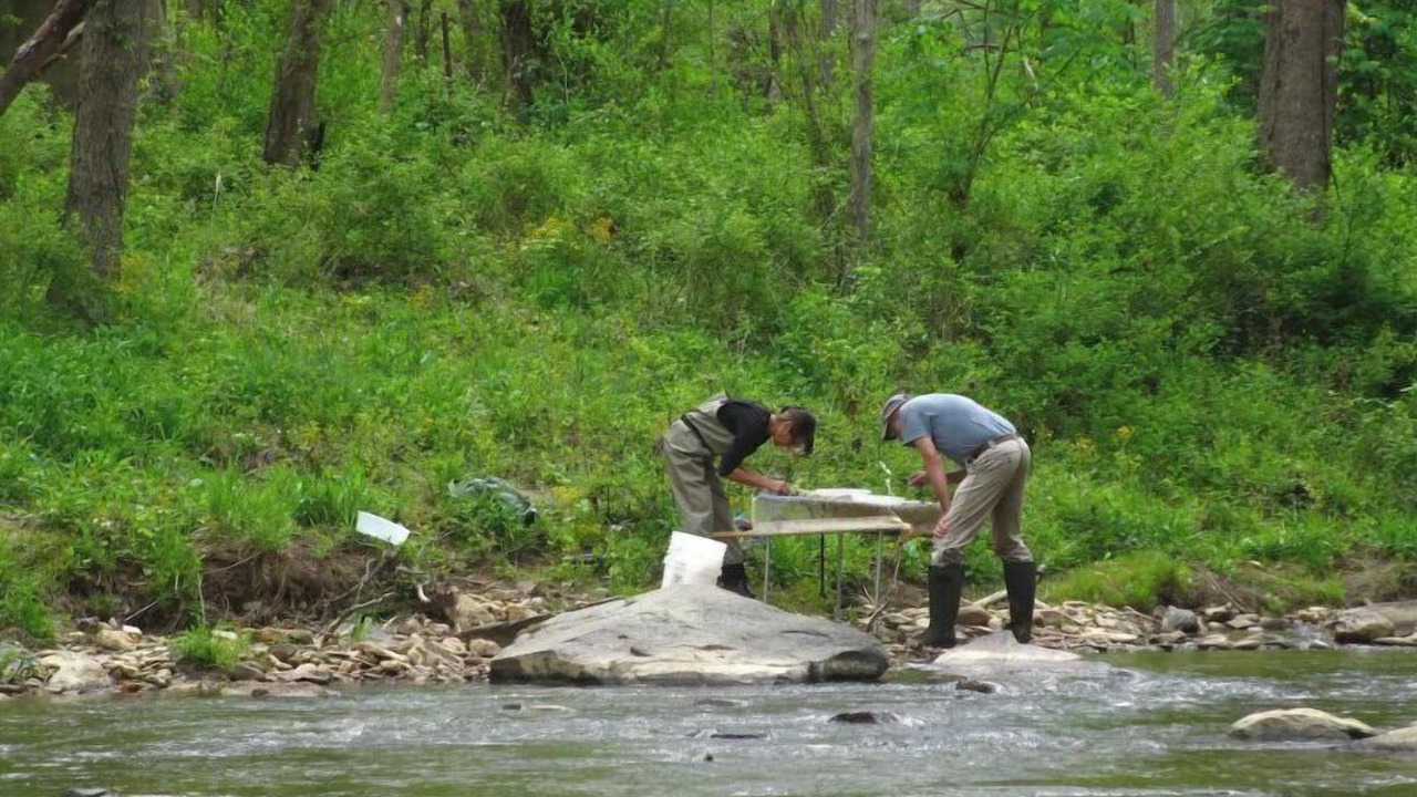 Photo of Others in Mars Hill
