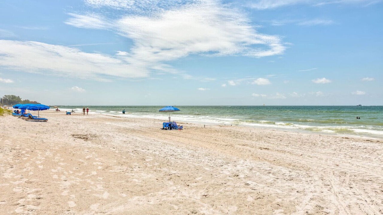 Photo of Others in Madeira Beach
