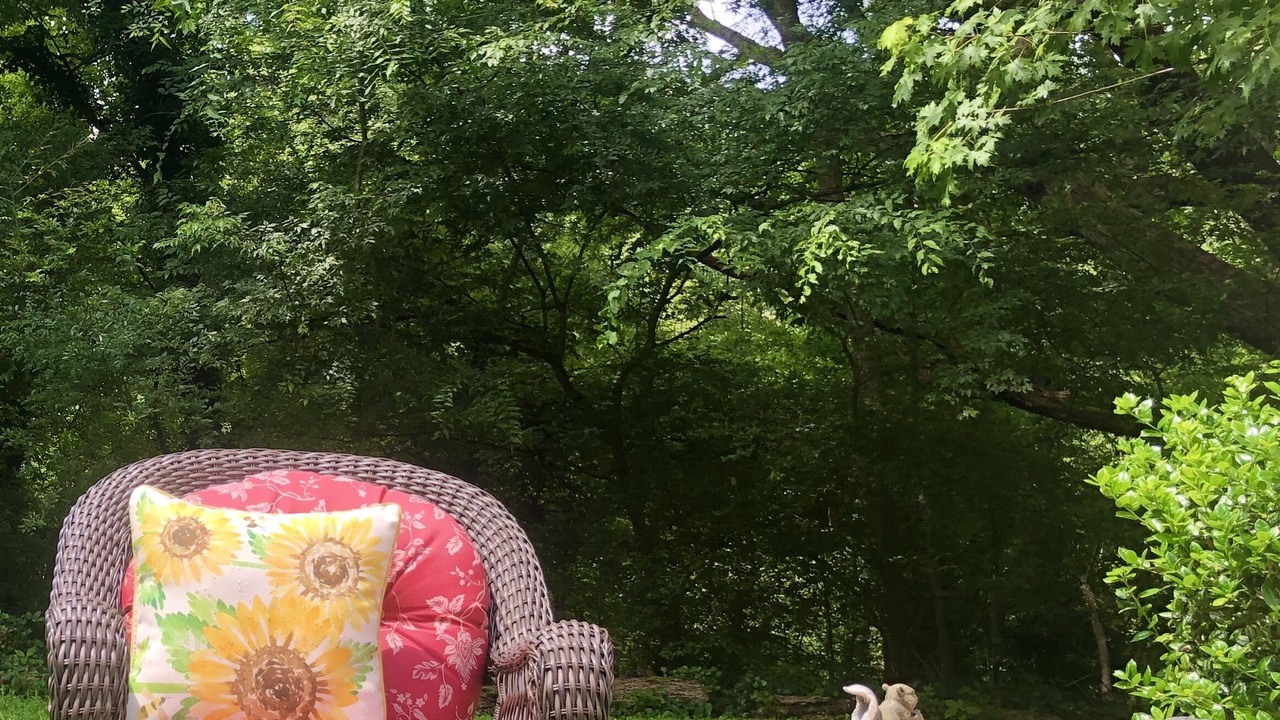 Photo of Outdoor in Fort Payne