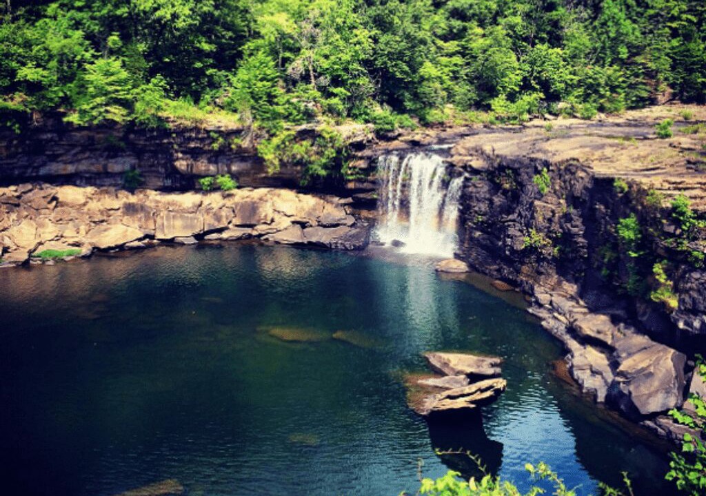 Photo of Others in Fort Payne