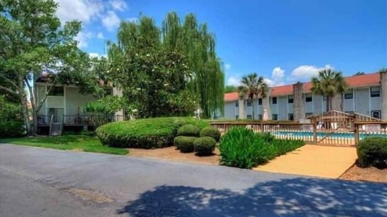Photo of Outdoor in Saint Simons Island