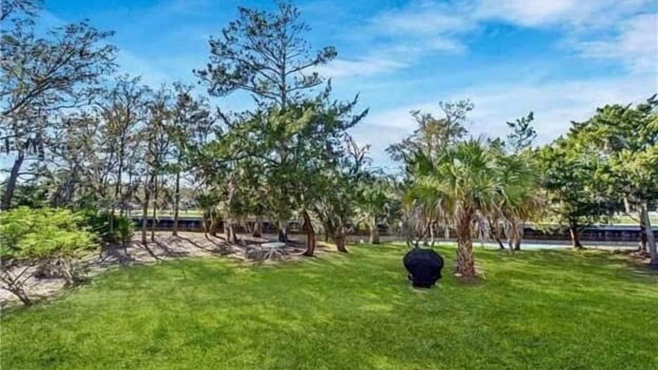 Photo of Outdoor in Saint Simons Island