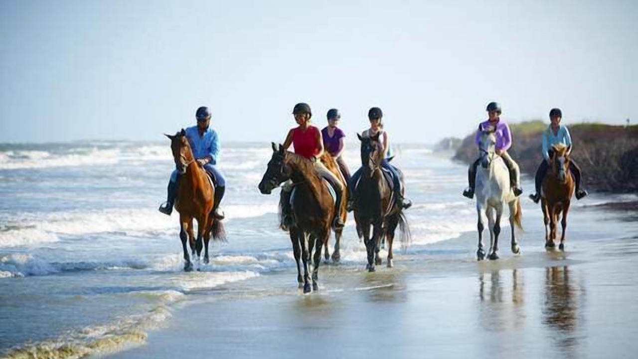 Photo of Others in Seabrook Island
