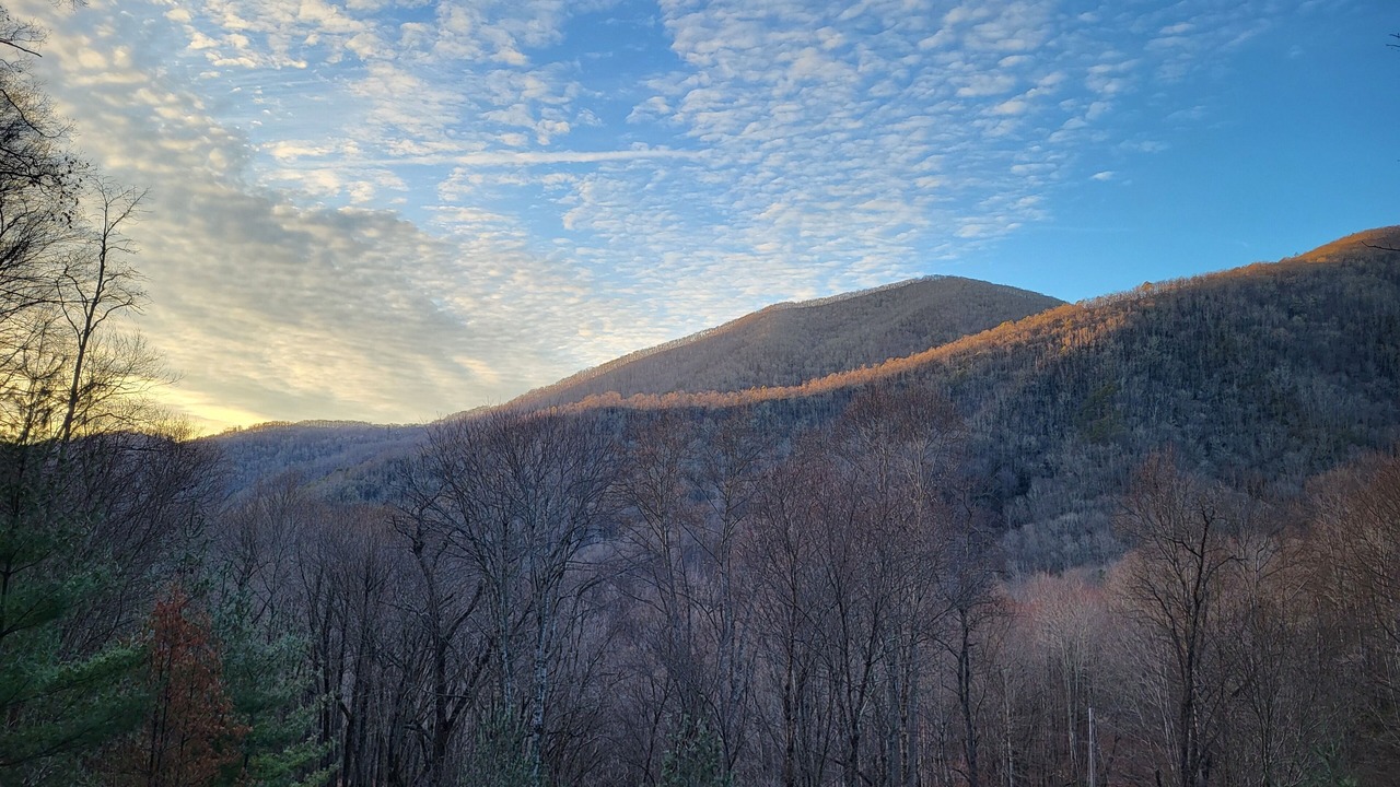 Photo of Outdoor in Cataloochee Ranch