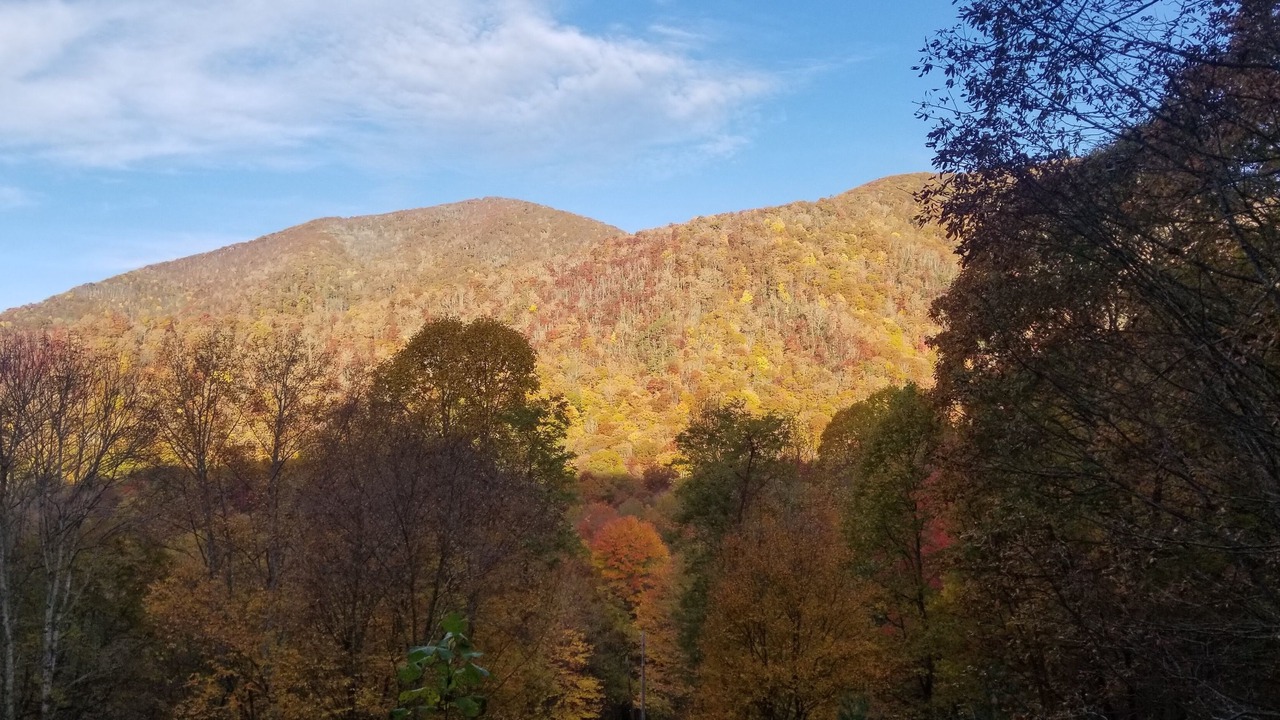 Photo of Bedroom in Cataloochee Ranch