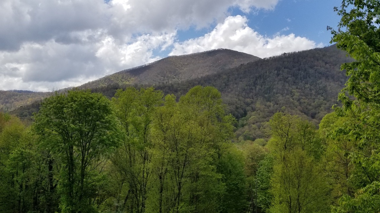 Photo of Bedroom in Cataloochee Ranch