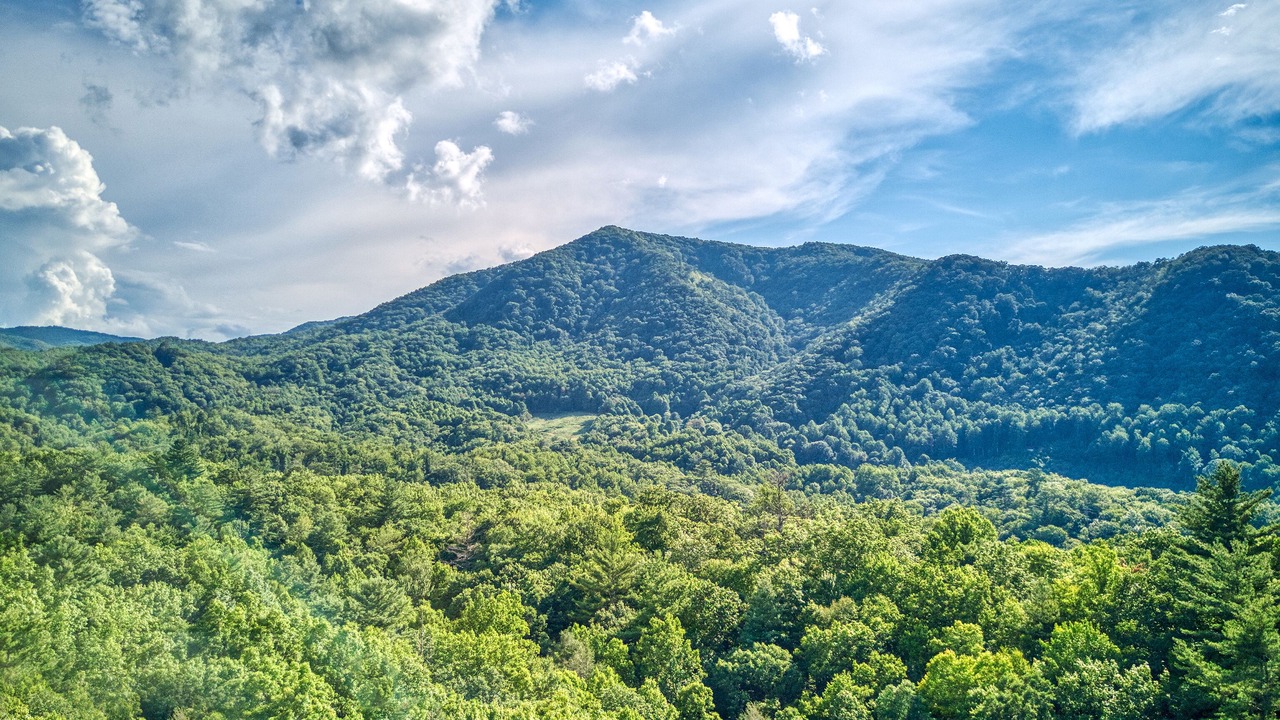 Photo of Others in Cataloochee