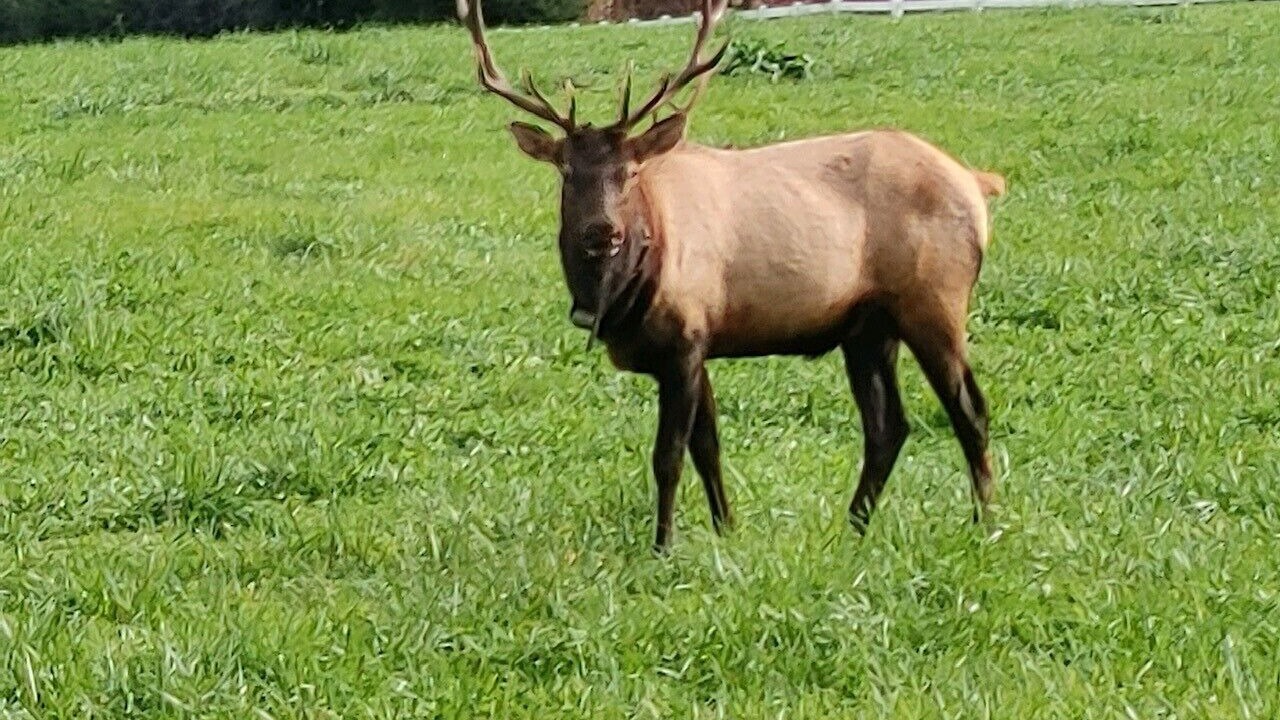 Photo of Outdoor in Maggie Valley