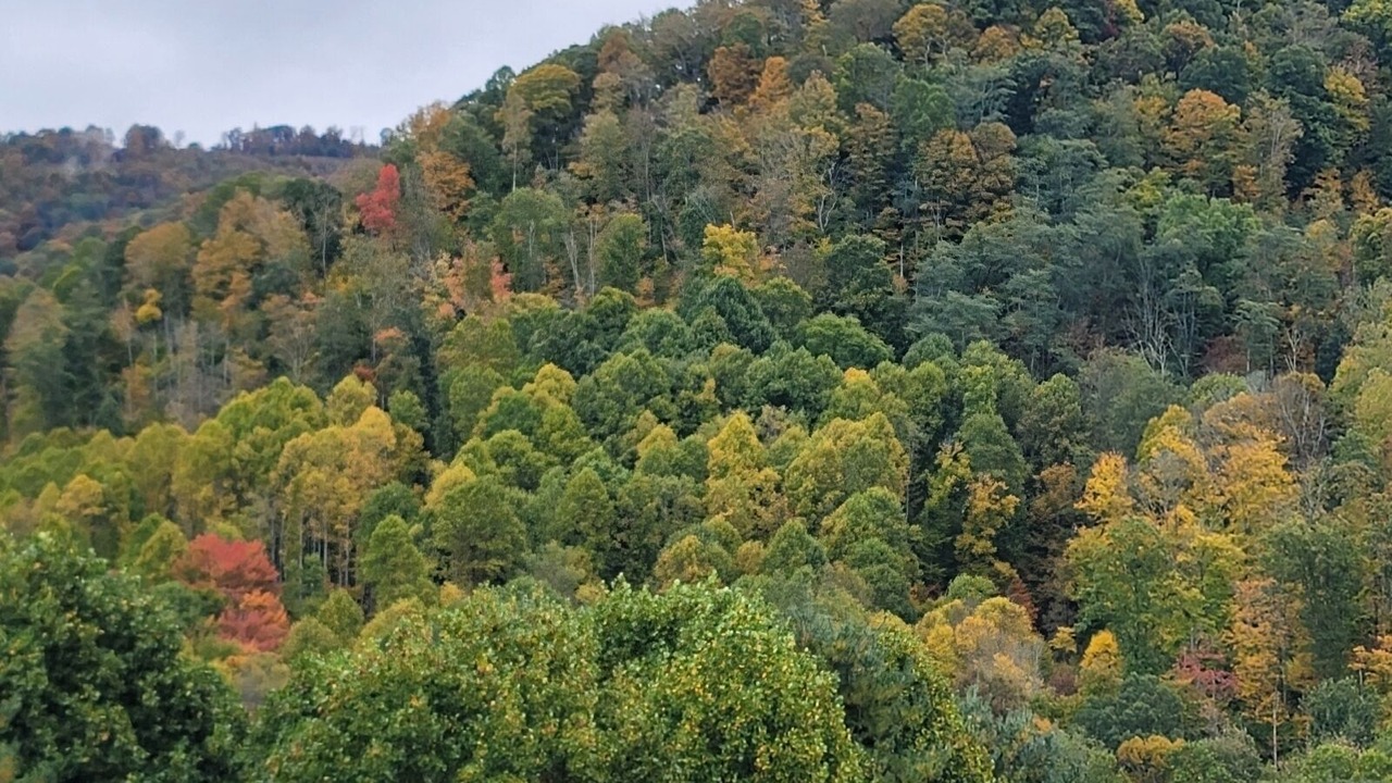 Photo of Others in Mars Hill