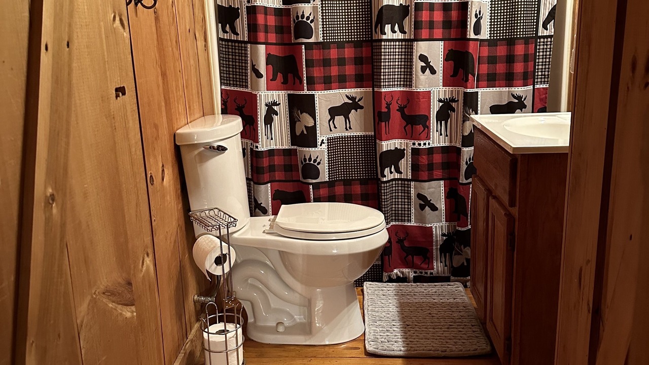 Photo of Bathroom in Mars Hill