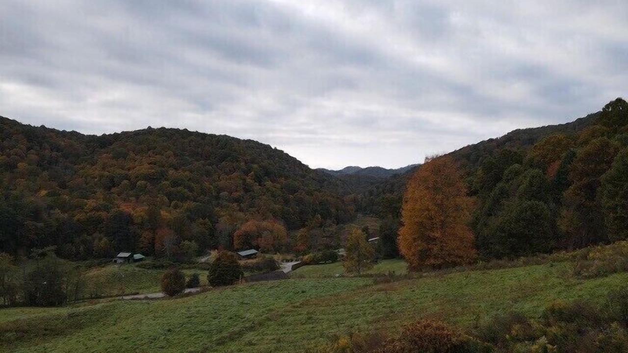 Photo of Outdoor in Mars Hill