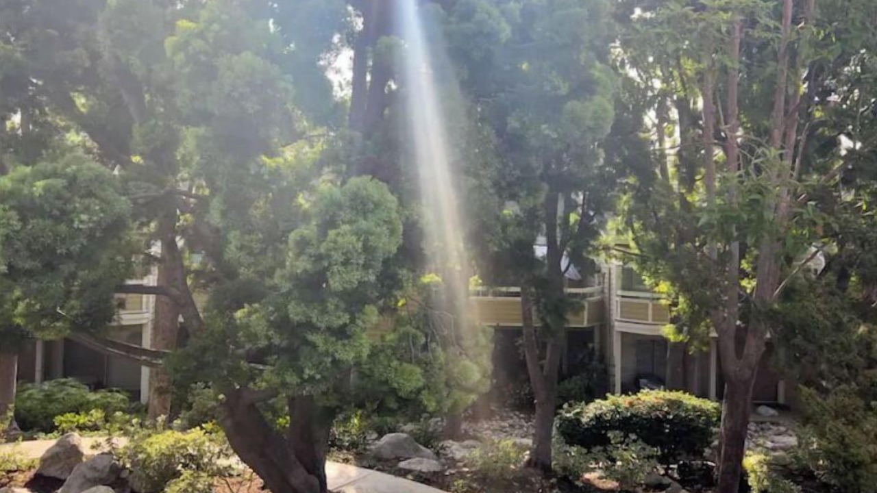 Photo of Outdoor in Santa Ana Heights