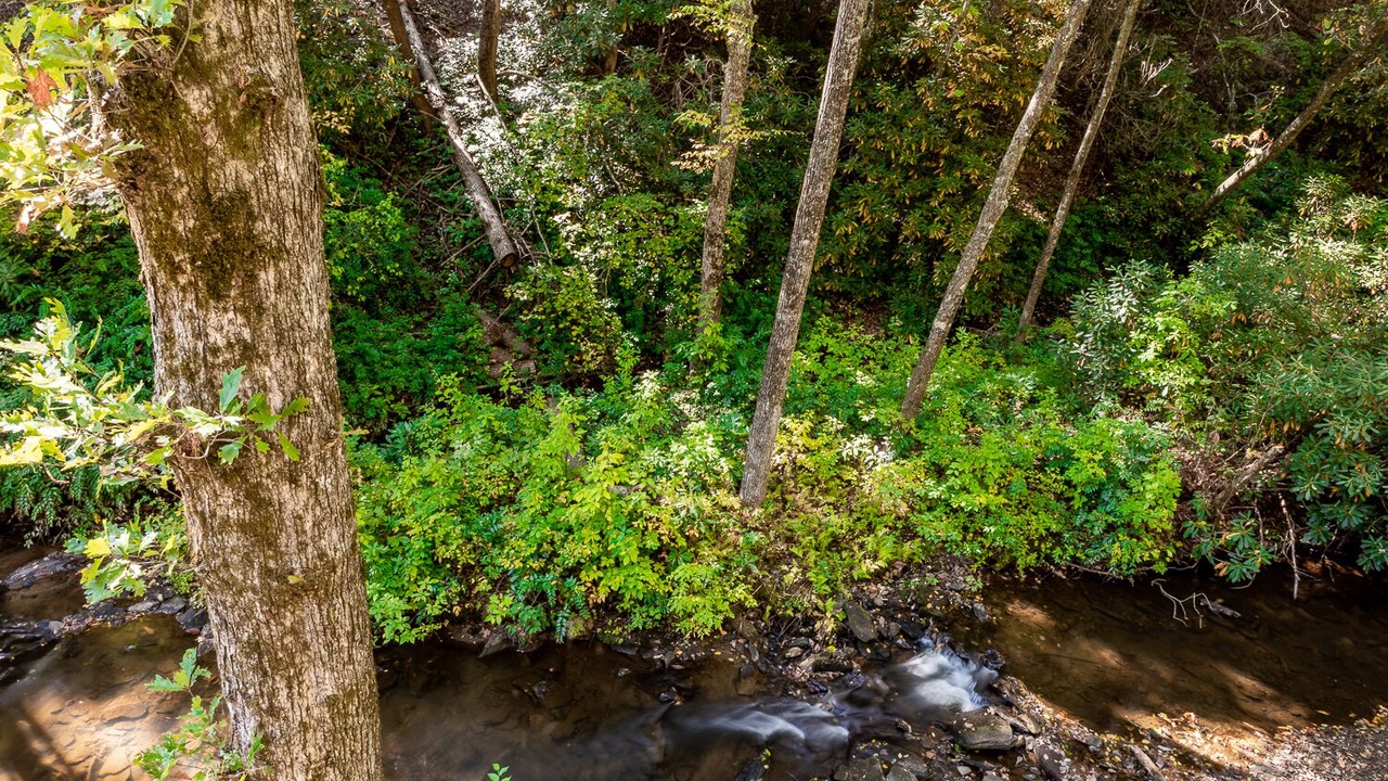 Photo of Outdoor in Lake Toxaway