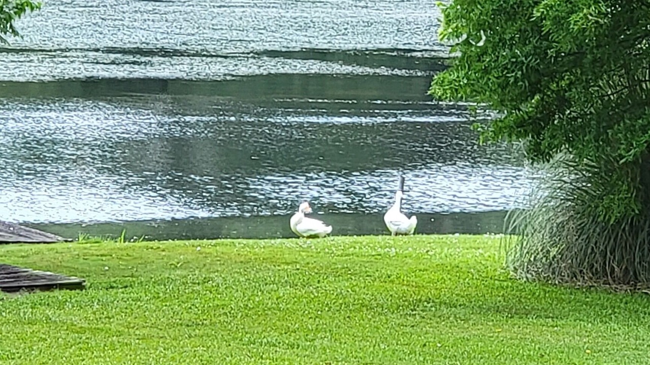 Photo of Outdoor in Guntersville
