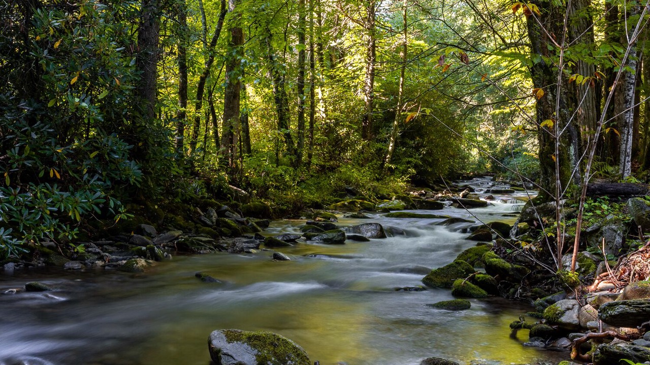 Photo of Others in Maggie Valley