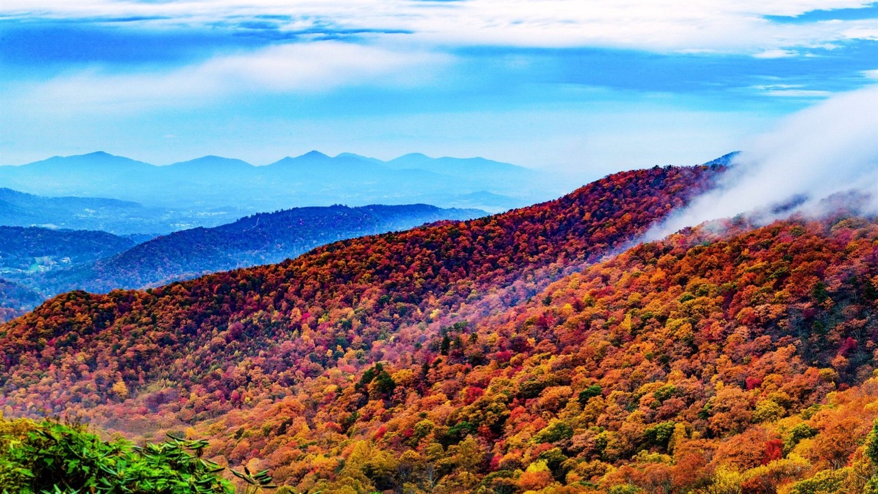 Photo of Others in Sevierville