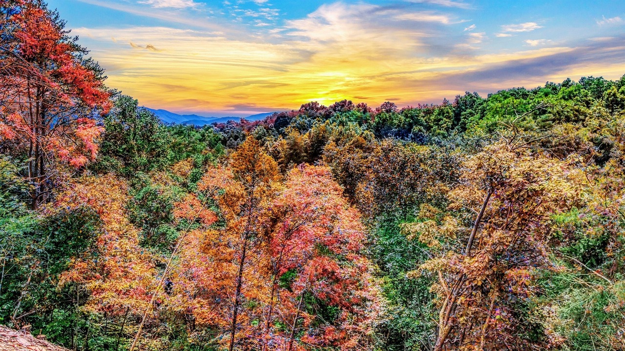 Photo of Others in Sevierville