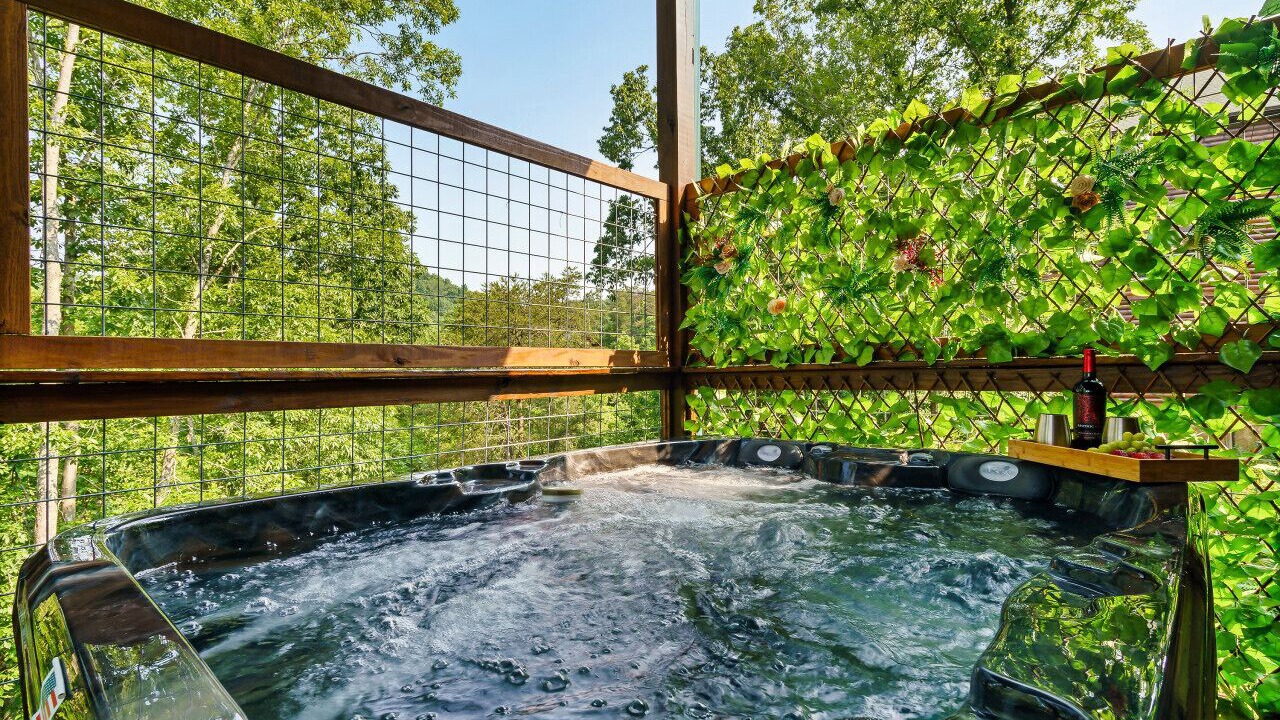 Photo of Outdoor in Sevierville