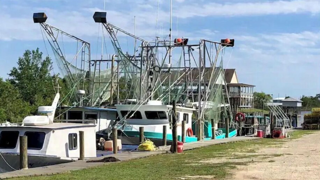 Photo of Others in Bay St Louis