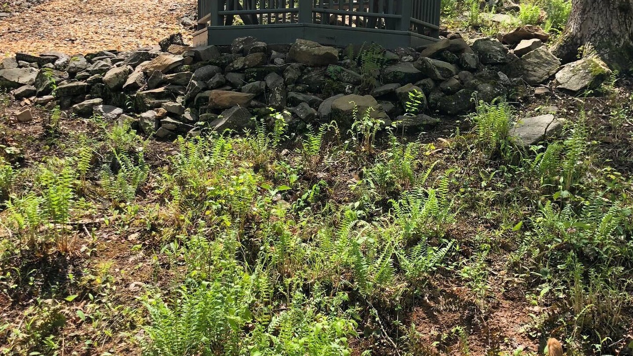 Photo of Outdoor in Winston