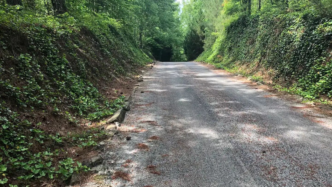 Photo of Outdoor in Winston
