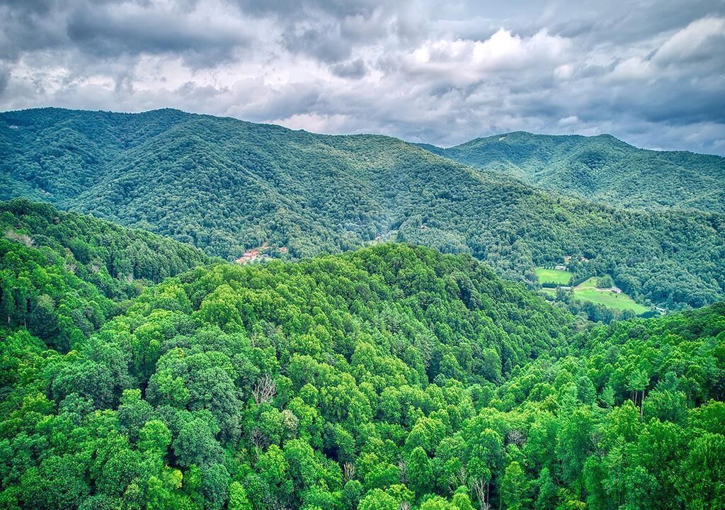 Photo of Outdoor in Waynesville