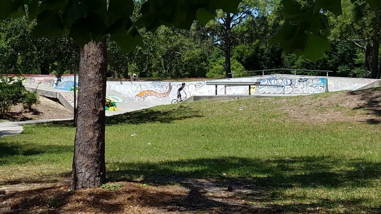 Photo of Others in Arlington