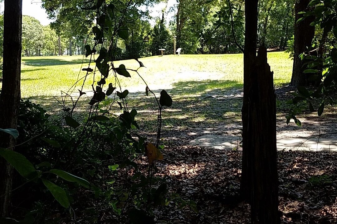Photo of Others in Arlington