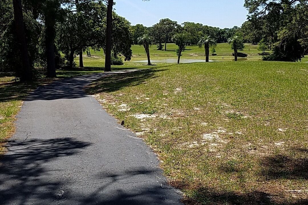 Photo of Others in Arlington