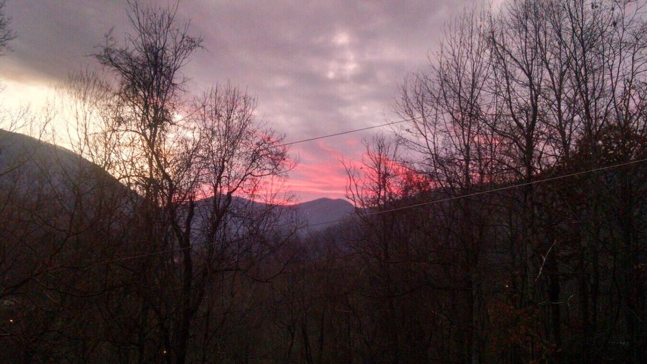 Photo of Others in Maggie Valley