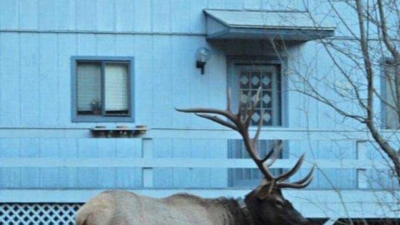 Photo of Outdoor in Maggie Valley