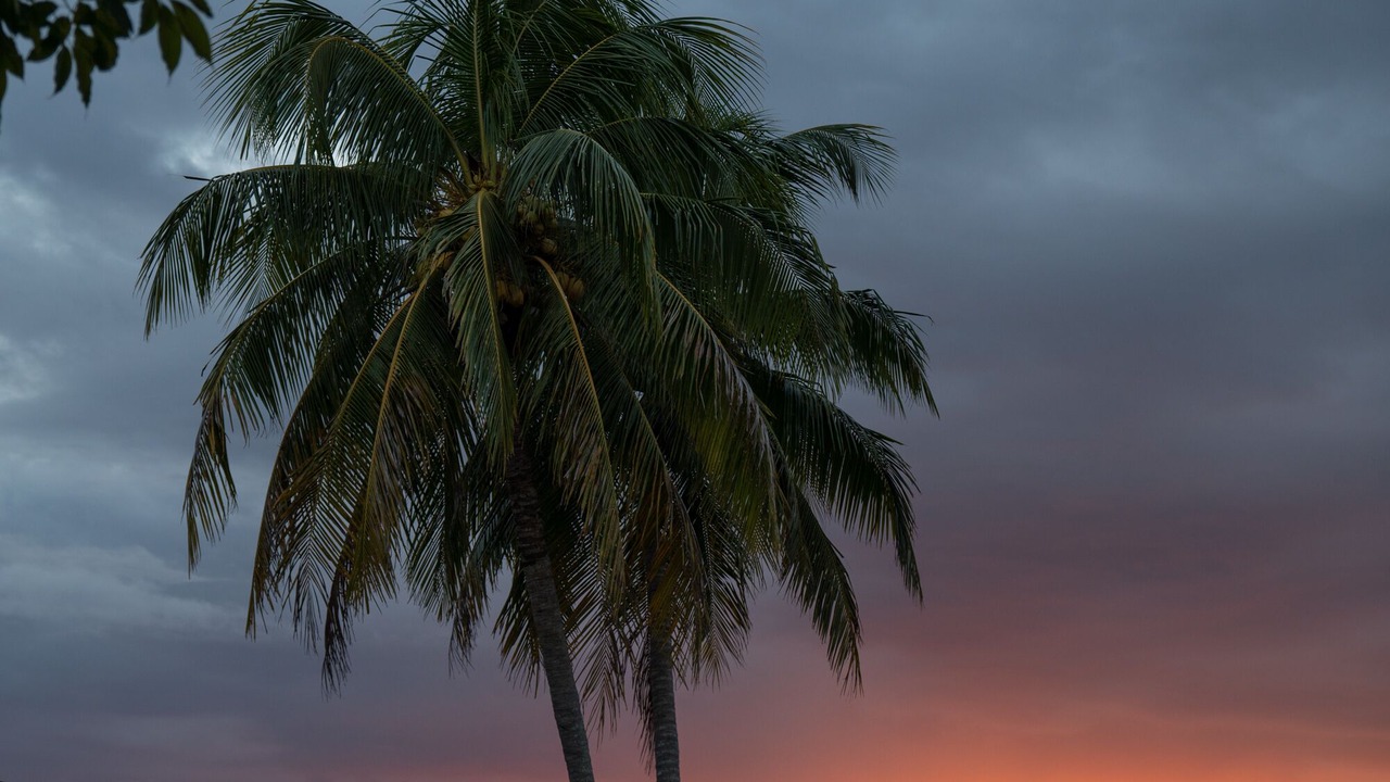 Photo of Others in Coconut Grove