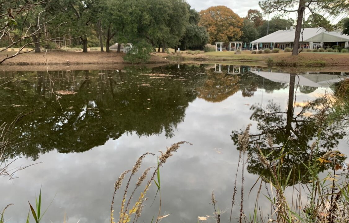 Photo of Outdoor in Beaufort