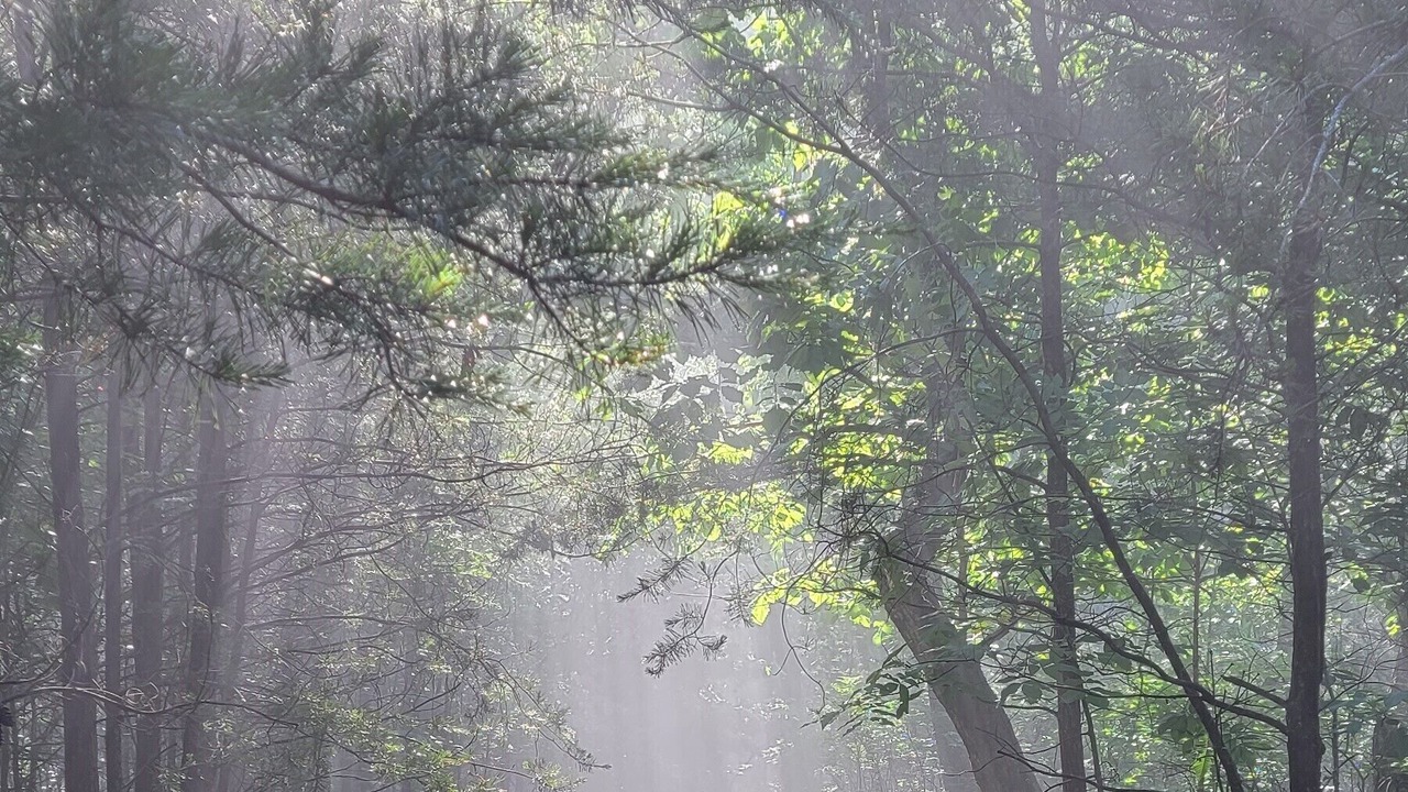 Photo of Others in Rising Fawn