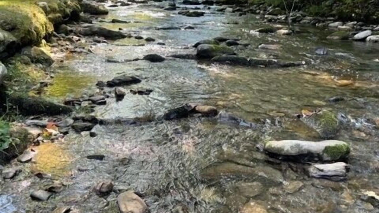 Photo of Outdoor in Maggie Valley