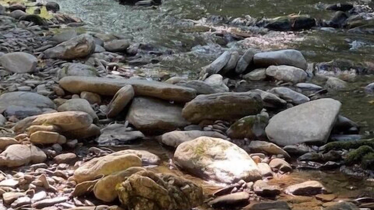 Photo of Outdoor in Maggie Valley