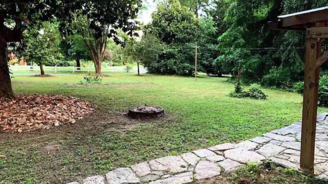 Photo of Outdoor in Asheville