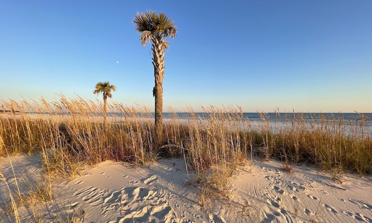 Photo of Others in Gulfport