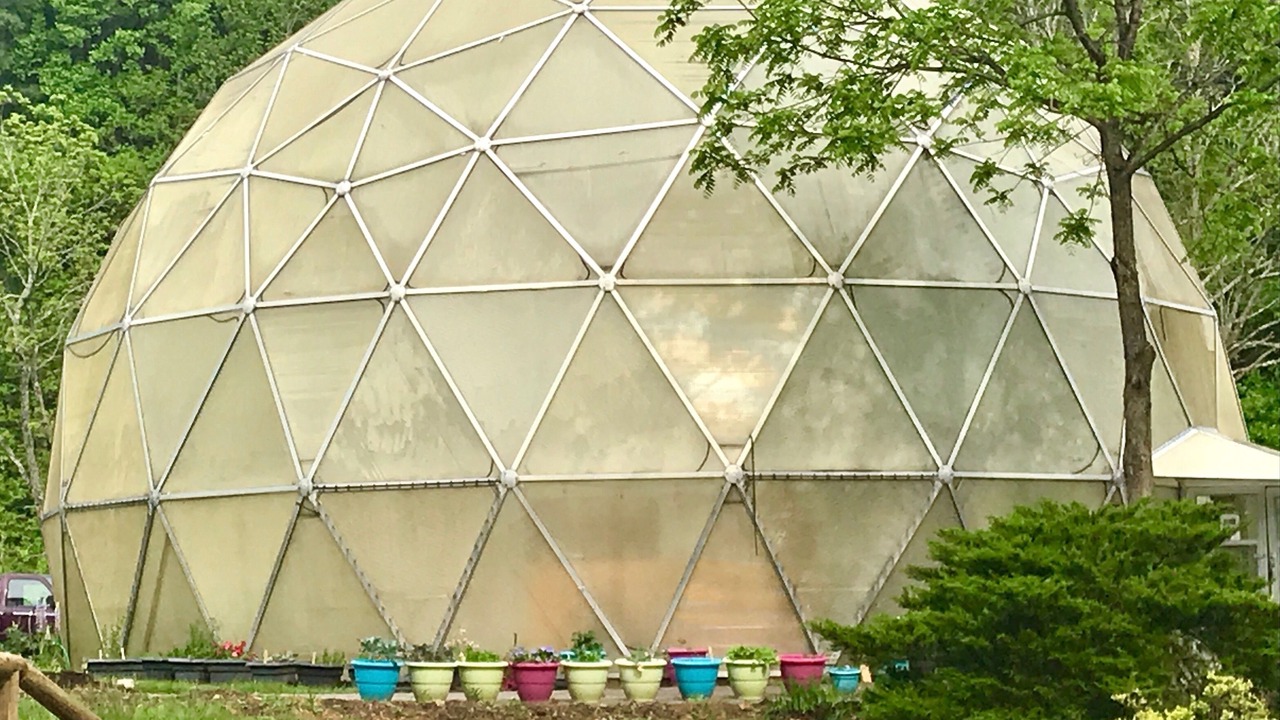Photo of Outdoor in Hemphill Heights
