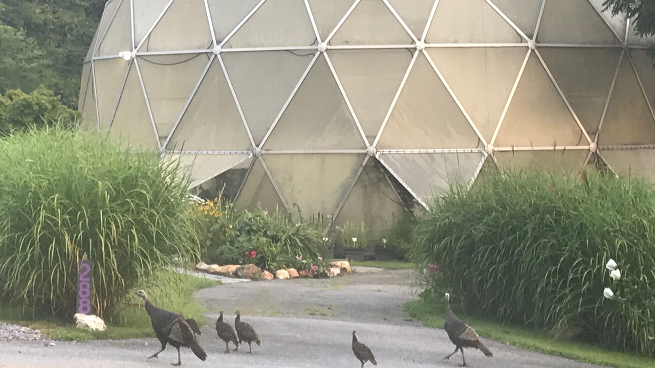 Photo of Others in Hemphill Heights