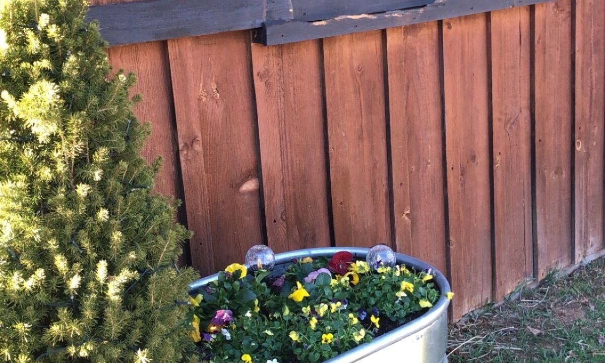 Photo of Outdoor in Waynesville