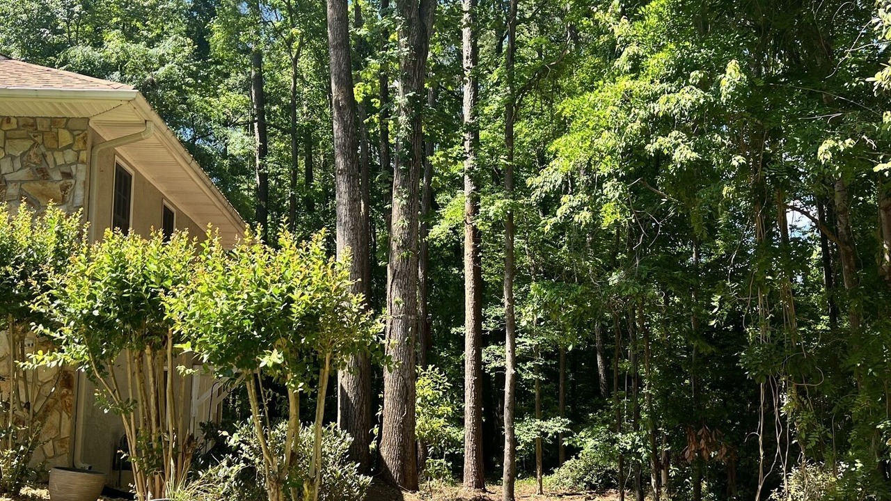 Photo of Others in Fayetteville