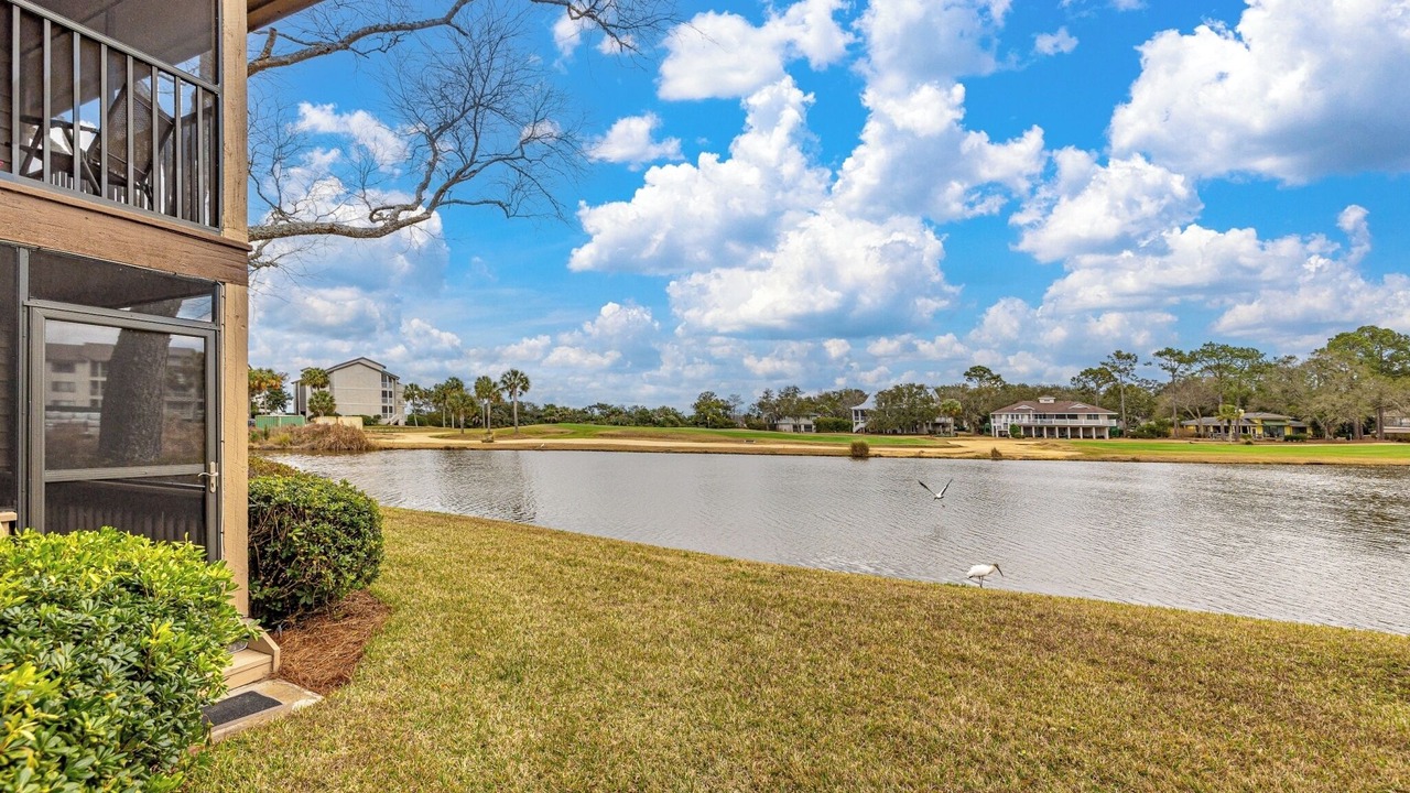 Photo of Outdoor in St. Simons Island