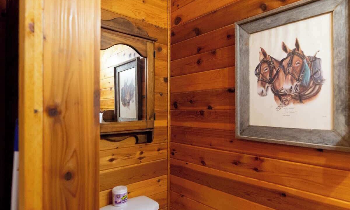 Photo of Bathroom in Sevierville