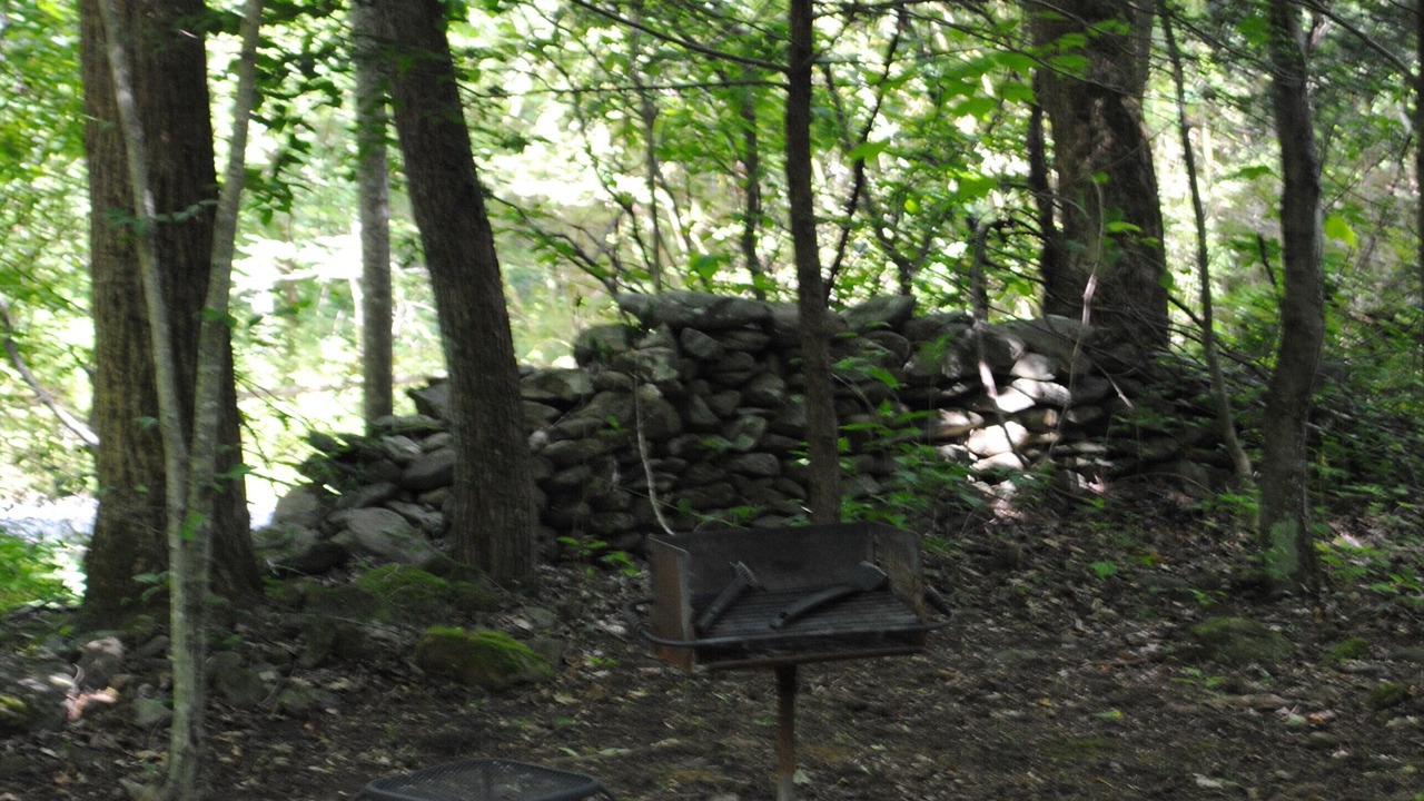 Photo of Outdoor in Cosby
