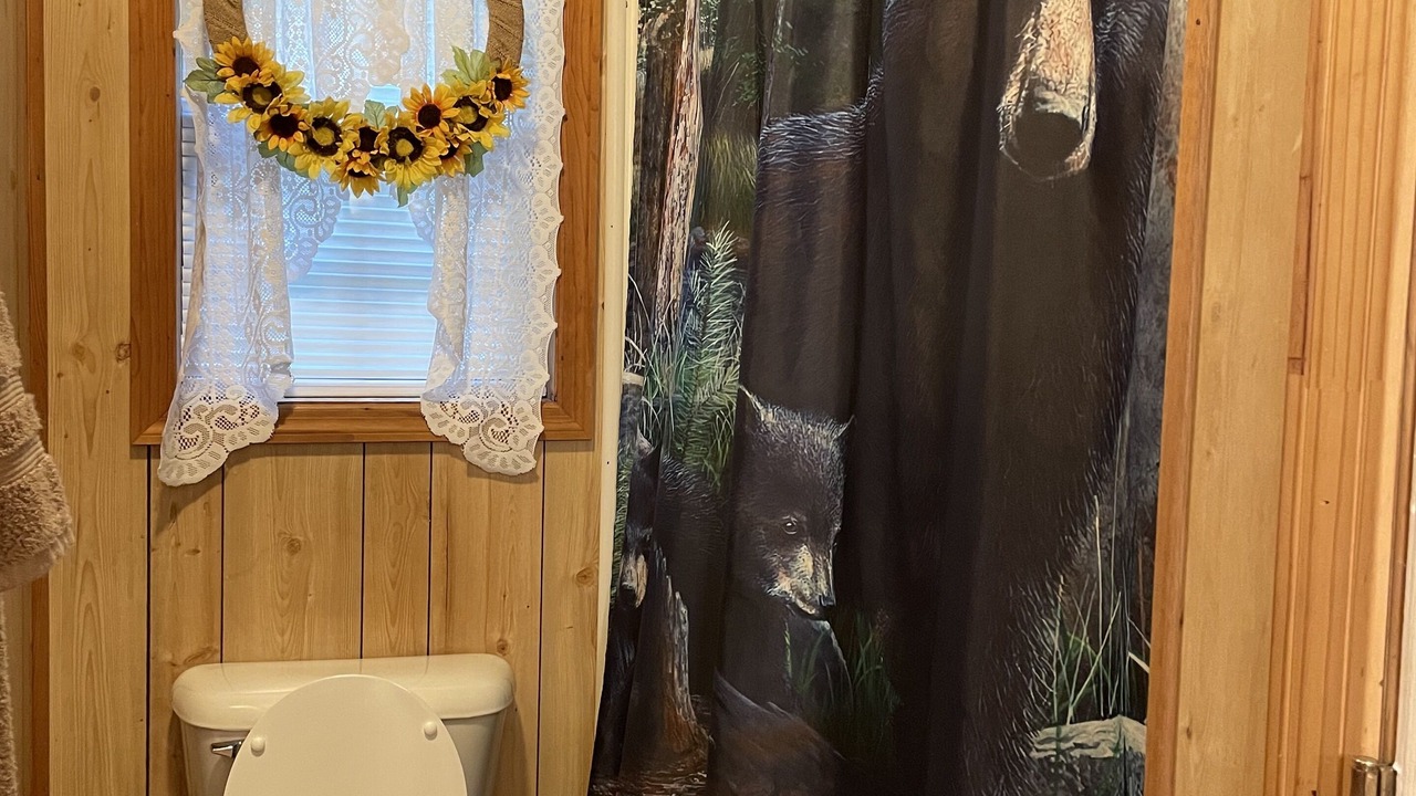Photo of Bathroom in Cosby
