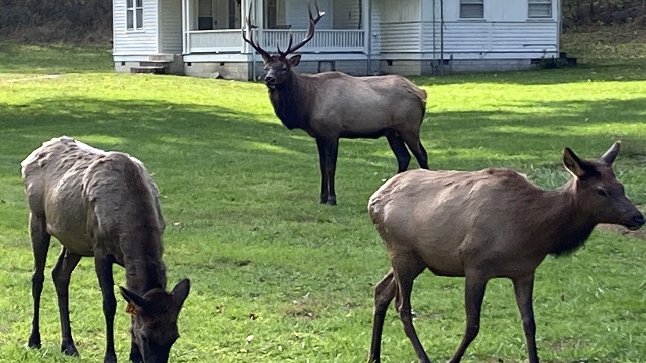 Photo of Outdoor in Maggie Valley