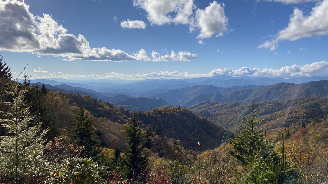 Photo of Others in Maggie Valley